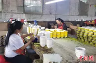 吸纳就业2万余人 山西农业大县发展陶瓷产业撬动乡村振兴
