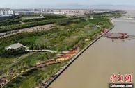 甘肃张掖：昔日戈壁滩“风吹石跑” 今朝林海“点绿成金”