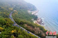 广东发布“最美公路”“最美农村路”：实现美丽与发展共赢