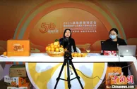 2021赣南脐橙博览会启动 赣州今年脐橙鲜果产量预计达138万吨