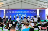 东北唯一国家市场采购贸易方式试点在辽宁西柳启动
