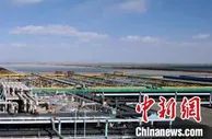 青海“盐湖股份” 前三季度营业收入同比增长75.41%