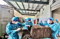 南宁海关推进互市商品“落地加工”改革 加快边境地区贸易发展