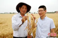 “万户千家藏粮于民” 山东农户科学储粮累计近20亿斤