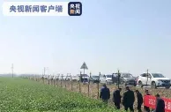 安徽小麦产区出现赤霉病 25万亩小麦已开始紧急防治