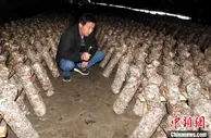 新疆兵团持续推进乡村振兴 民众致富后劲足