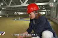 主产区小麦喜获丰收 今年夏粮旺季收购量将达1300亿斤