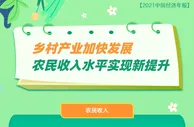 乡村产业加快发展 农民收入水平实现新提升