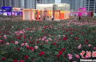 沈阳融·INBOX集装箱小镇“浪漫满园玫瑰花开”游园会启幕
