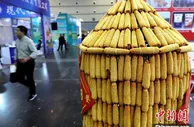 两部门：继续实施玉米和大豆生产者补贴等政策