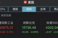 道指四连升！中概电商股、新能源汽车股表现亮眼