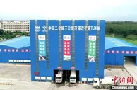 百年榕树“搬新家”、优化选线护水源.....粤高速的绿色创新