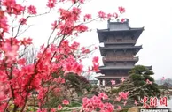 “五一”江苏接待游客总量达3537.57万人次