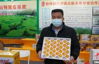 广西打造“桂字号”农业品牌 农交会签约金额逾122亿元