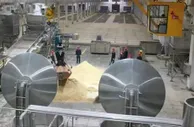 西凤酒：匠心酿造经典 品质擦亮品牌