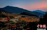 专家学者杭州论道 为长三角乡村运营发展献策