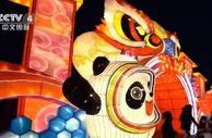 新春观察：新春消费市场“虎虎生威” 冬奥带动冰雪消费