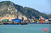 农业农村部：规范水产养殖用投入品 让群众吃到放心鱼