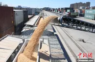 沈铁畅通“北粮南运”通道 粮食源源不断运往南方