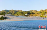 “90后”新农民念好共富“新农经”