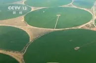 陕西榆林沙地变良田 第三产业发展给百姓带来更多就业机会