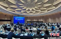 中海油研究院王震：碳中和下国际能源格局将加快转变