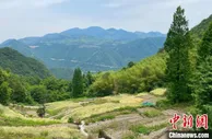 浙江已累计培育农创客超3万名