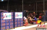 广西沙糖橘沃柑种植面积全国第一 揭牌成立果业技术研究院