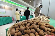广西玉林建设中国—东盟中医药健康产业基地