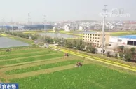 各地全力组织春耕生产保障夏粮丰收