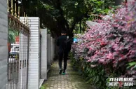 足球数据：重庆足球：这一别，再无归期