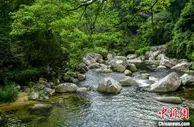 国家公园生态 “高颜值”如何实现经济“高价值”？