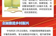 【关键词解读中央经济工作会议】乡村振兴！