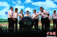 “五年磨一剑”  “林都”伊春22万平方米花海开园迎客