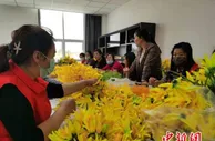 塞北“小黄花”引发的“蝴蝶效应”