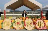 解码浙东稻海粮仓致富经：立体农业 文化塑形