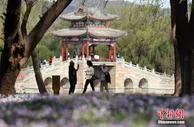 北京市2022年公园游览年票15日发售