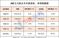 A股五大险企上半年日赚7.94亿 瞄准养老、健康赛道