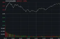 创业板指涨近1.6% 新能源车概念股掀涨停潮