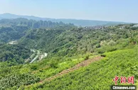 探路山区共富 浙江新昌“小县大战略”破题城乡收入差距