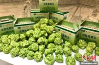 “中国榨菜之乡”重庆涪陵召开榨菜产业国际博览会