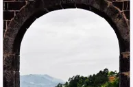 “中国栀子名市”福建福鼎：一花一产业 转型谋新篇