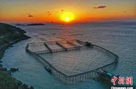 浙江共富新观察：一条大黄鱼“带富”大陈岛