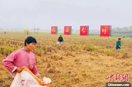 万亩良田“变身”生态公园，稻花香里织就田园小康梦