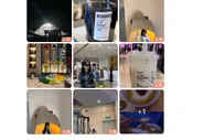 太太宣？韦世豪妻子更新社媒告别广州，定位在湖北