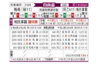 [自由杯] 梅尔加 VS 帕特罗纳图