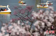 南京紫金山“牵手”玄武湖：山水城林中打造“中心公园”