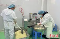 山西潞城：深加工“金钥匙”打开农产品“发展锁”