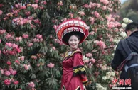 中国“花节”遍地开 如何盘活“花经济”？