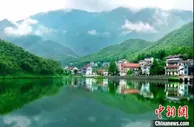 浙江多地试水碳汇交易 成为撬动绿色经济的新支点